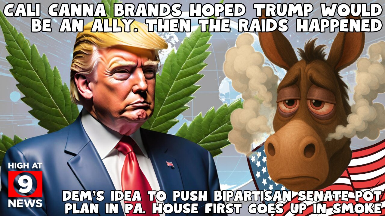 Missouri works to retroactively complete 16,000 cannabis employee fingerprint background checksRachelle Gordon