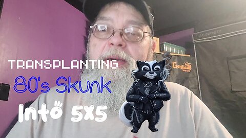 Transplanting skunk seedlings from the 1980's