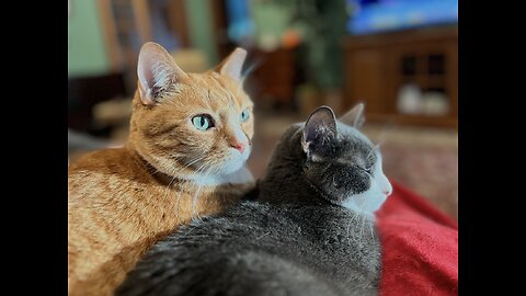 Episode 3038 CWSA 12/06/25