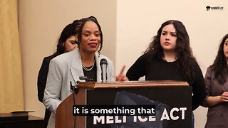 Dem Rep. Summer Lee Says ICE Is Not The Gestapo But 'Regular, Run Of The Mill American Racism'