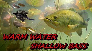 LOVE THAT SHALLOW STUFF