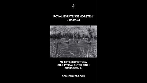 Royal Estate ‘De Horsten’ – 12-12-24