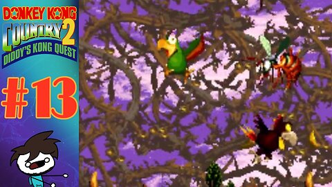 Struggle till the End | DKC2: Diddy's Kong Quest (Part 13)