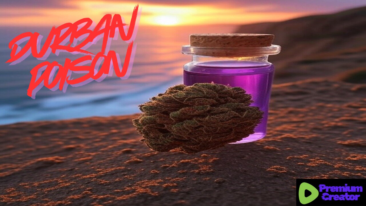[PrEeEmium Creator] Strain History (Durban Poison)