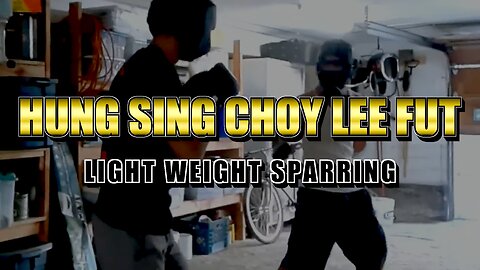 Hung Sing Choy Lee Fut Sparring