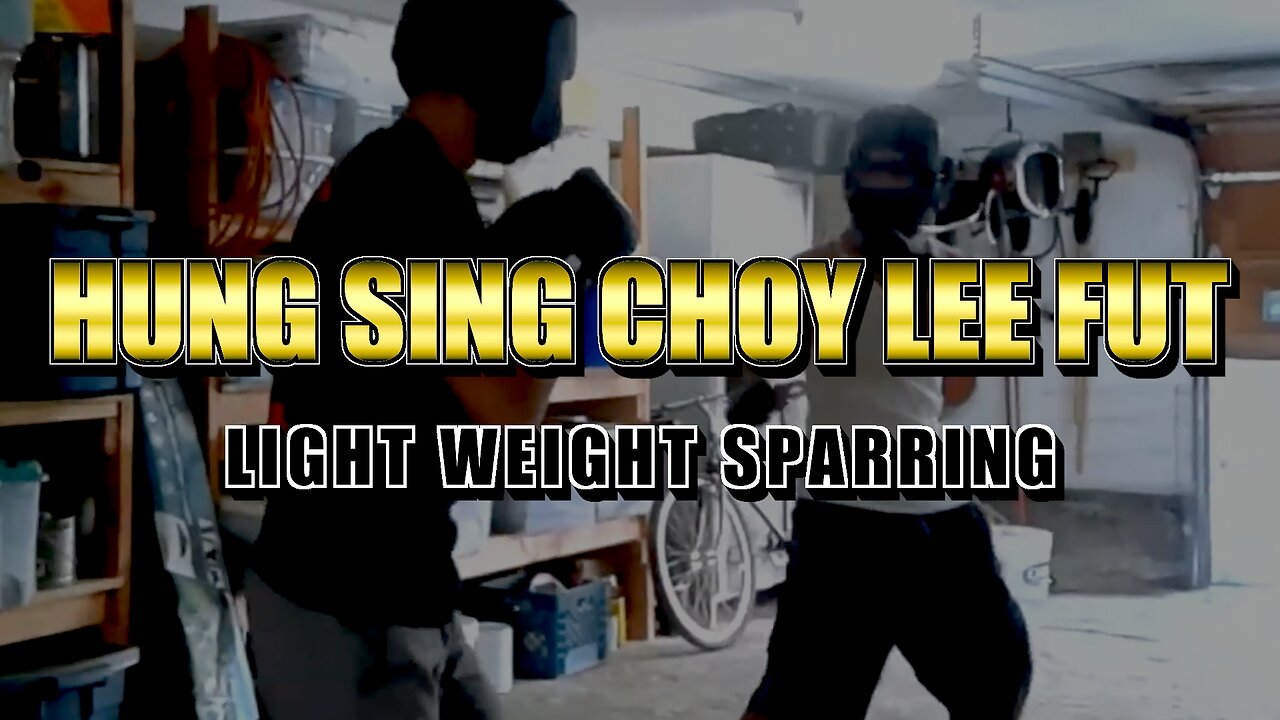 Hung Sing Choy Lee Fut Sparring