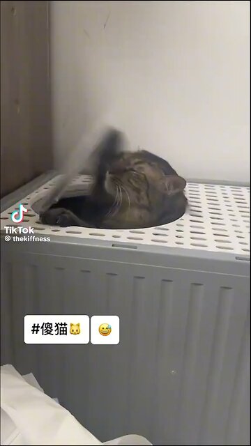 This is exactly why the internet was invented🤣🤣🤣🤣🤣🤣🤣🤣🤣