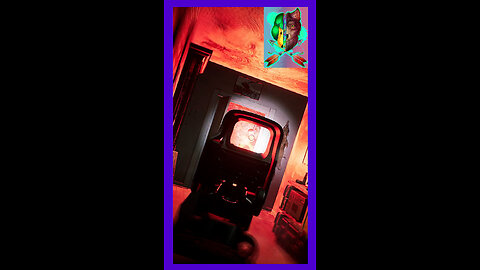 Surgical Duck In 213 Apartments