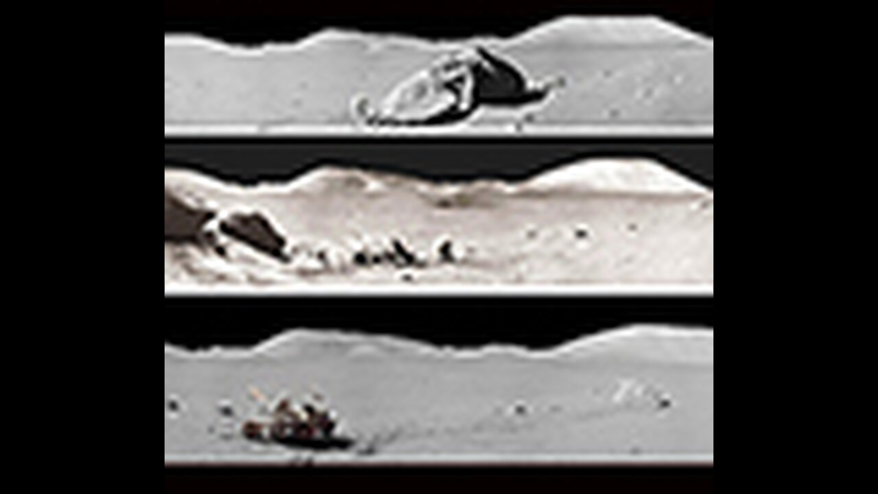 The Moon Landings Hoax - Song Adaptation