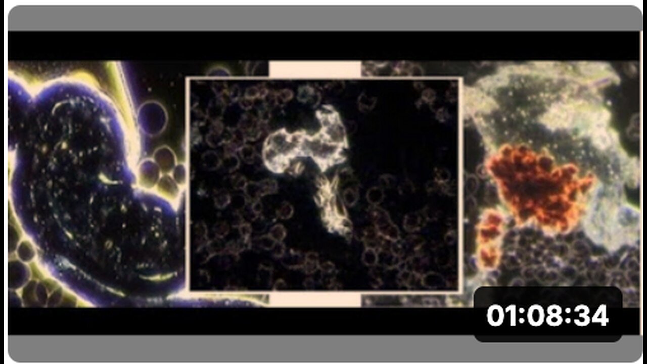 Dr. Kaufman w/ Adam and Josh Bigelsen on 'Terrain Theory'