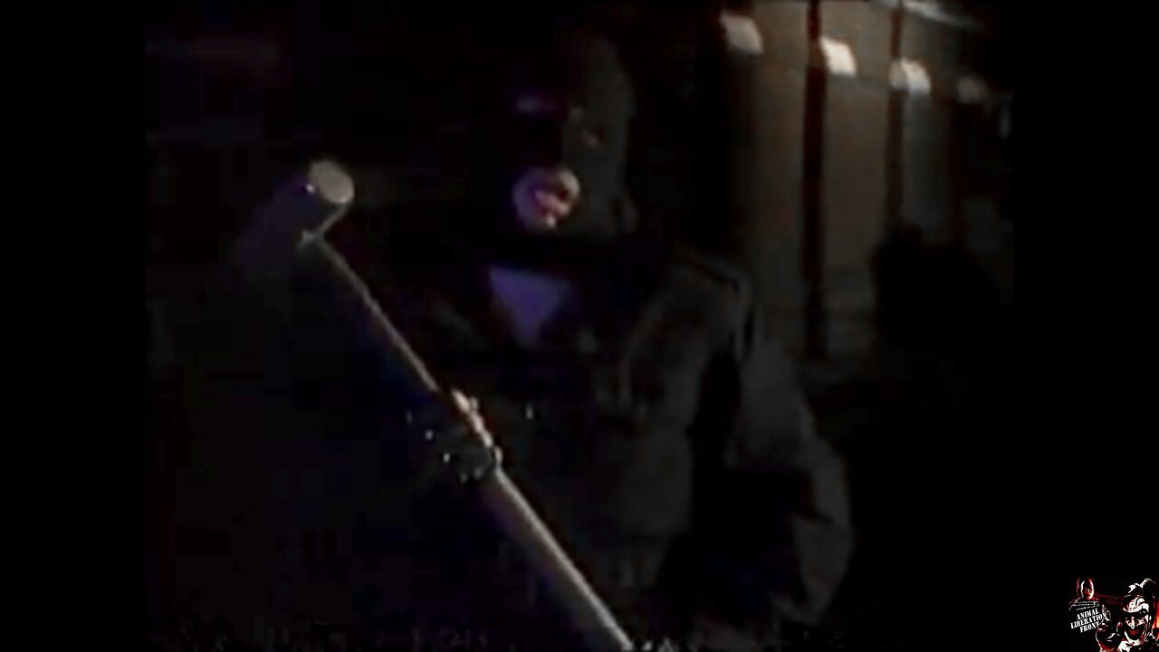 ALF Give It All (Rise Against)