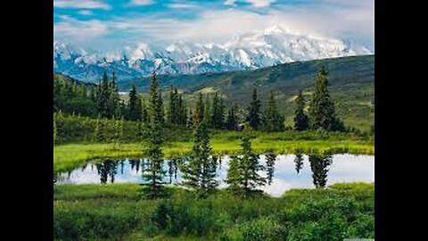 nature lover