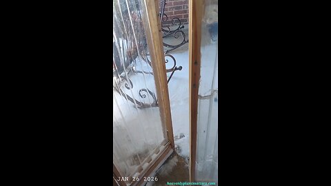 Checking on the Greenhouse. . .