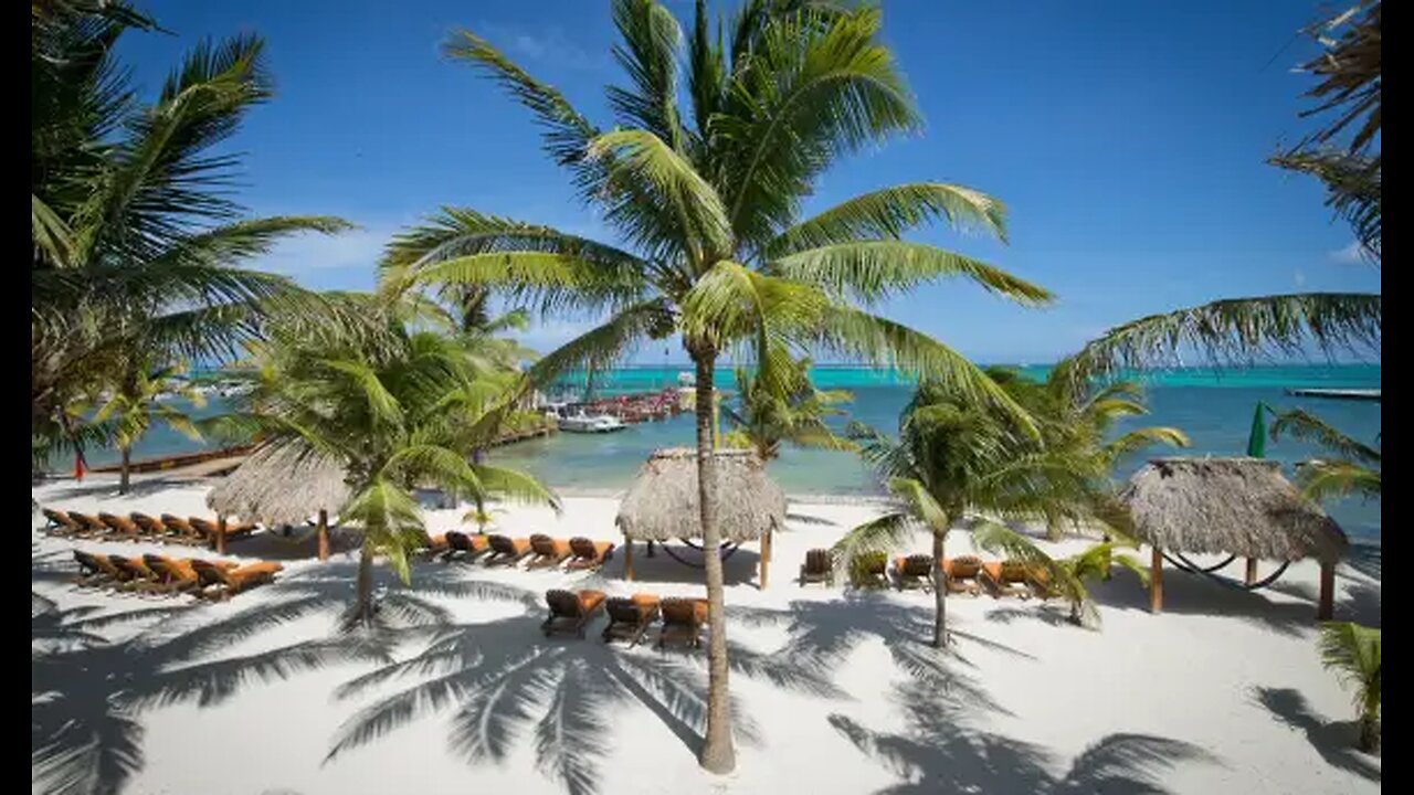 Belize Dive Centre November 1993