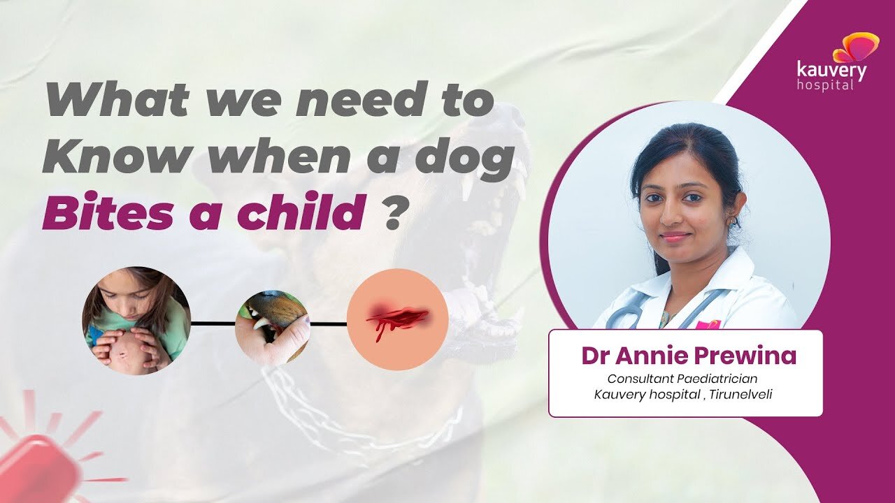 First Aid Steps for Dog Bites in Kids