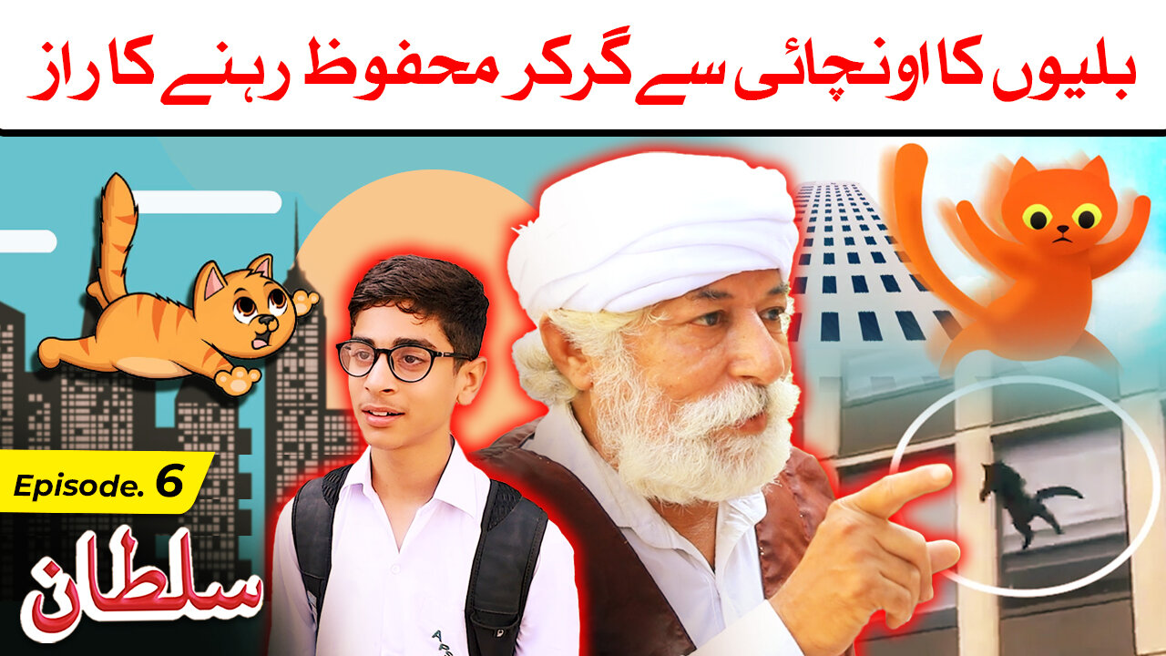 Billiyun ka oonchaai se gir k Mehfooz Rehne ka Raaz? - Sultan ep6 Incredible Survival Skills of Cats