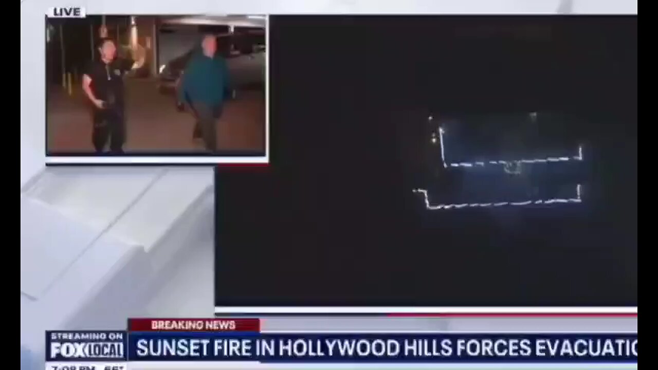 Palisades Fires report