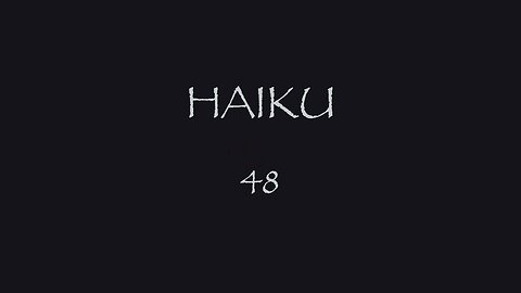 HAIKU 48