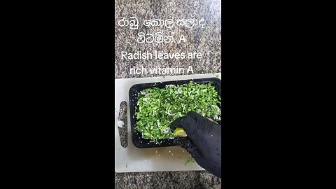 Radish leaves salads rich vitamin A