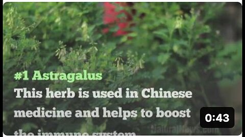 "Five Best Herbs to Combat Flu Season"