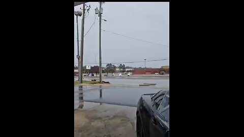 Tuscaloosa Steals the Show in Wild Police Chase 😂 #Tuscaloosa #japd