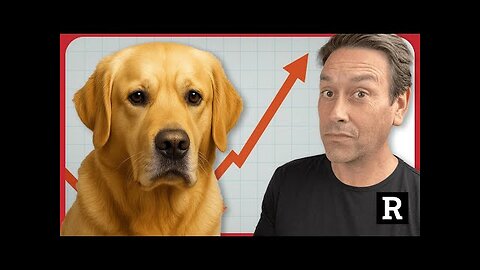 WHY IS CANCER SKYROCKETING IN PETS AND CHILDREN ?