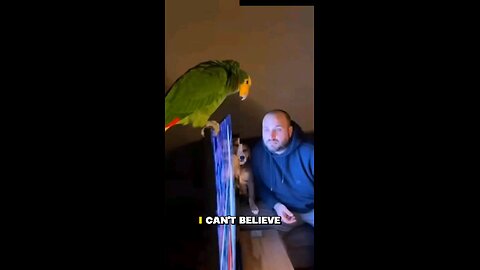 You Only Look Like Him in One Thing