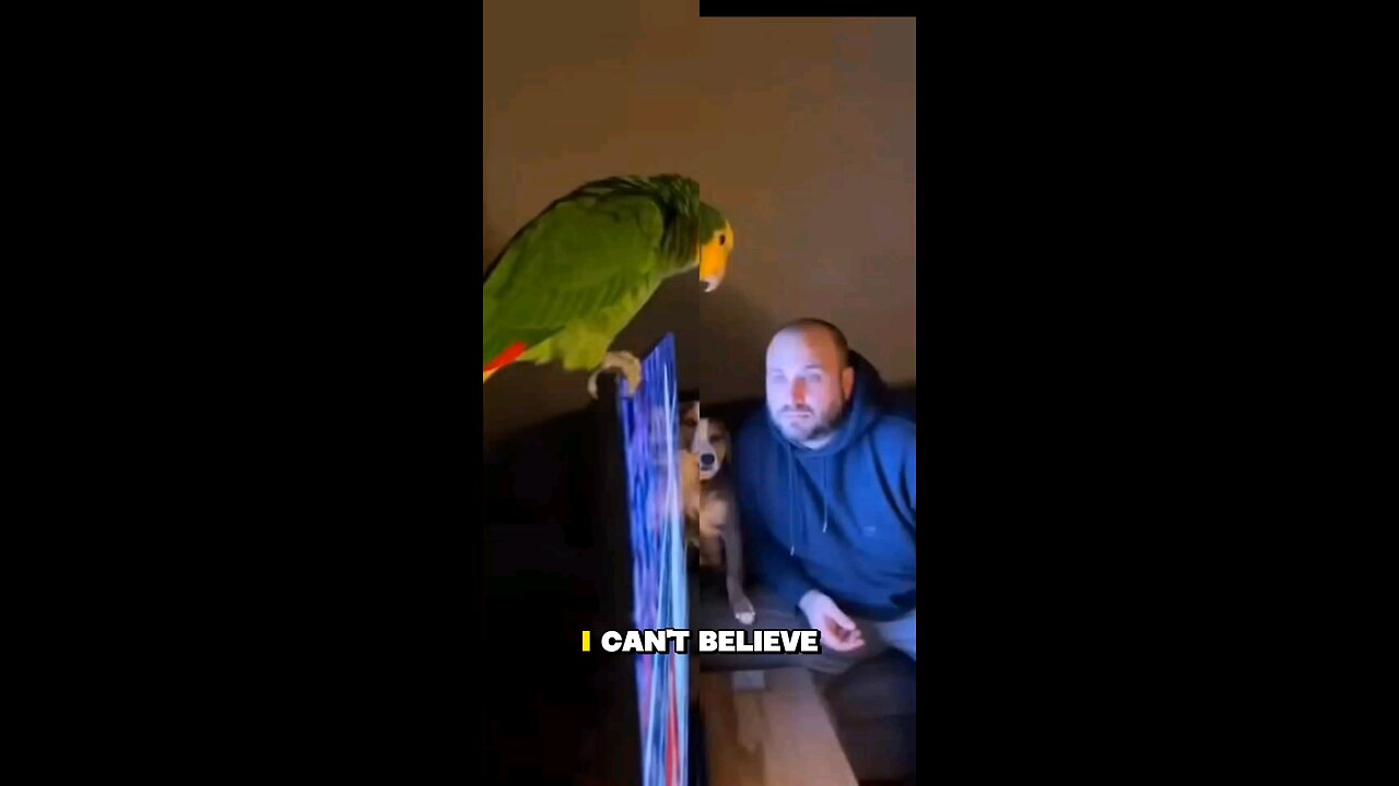 You Only Look Like Him in One Thing