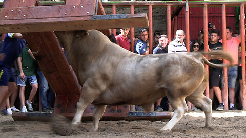 2025 08 10 CATÍ SERGIO CENTELLES Nº35