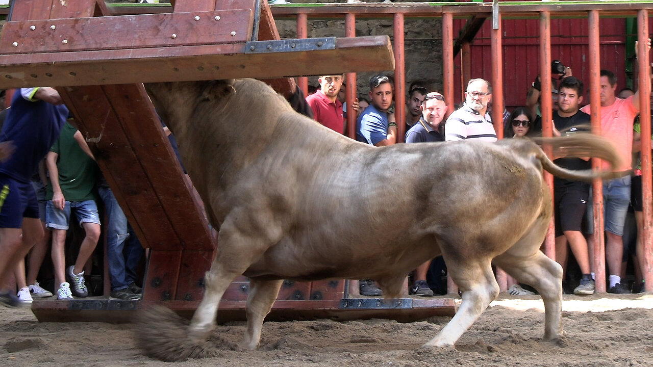 2025 08 10 CATÍ SERGIO CENTELLES Nº35