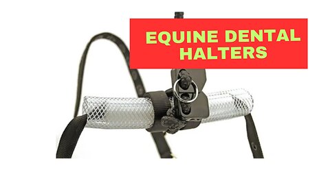 Understanding Equine Dental Halters: A Key Tool for Equine Dentistry