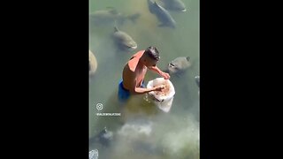 Enjoy Joy Now - Water Puppies 😁 ~ shared by @boonecutler on X
