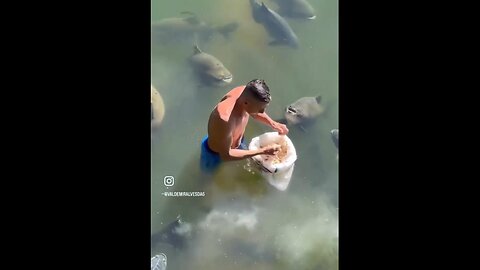 Enjoy Joy Now - Water Puppies 😁 ~ shared by @boonecutler on X
