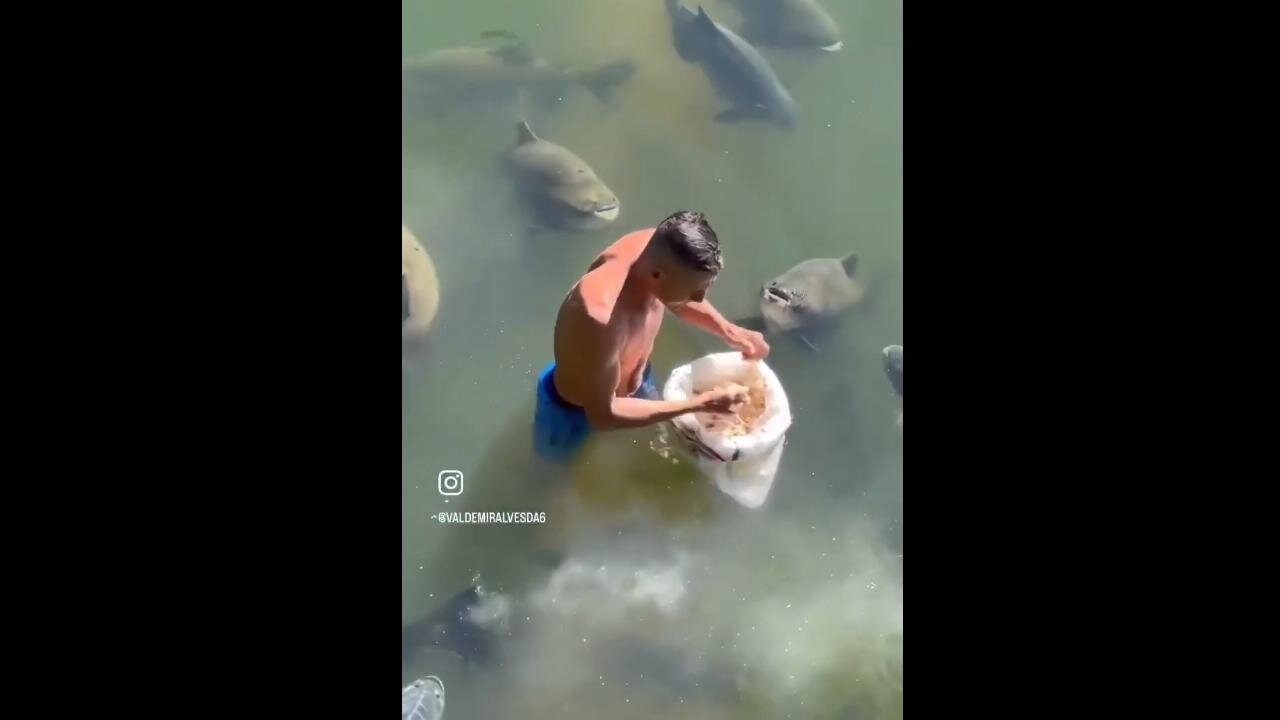 "Enjoy Joy Now - Water Puppies" 😁 says @boonecutler on X