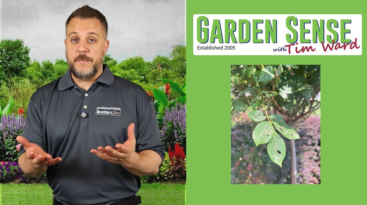 Garden Sense with Tim Ward - 07.02.25