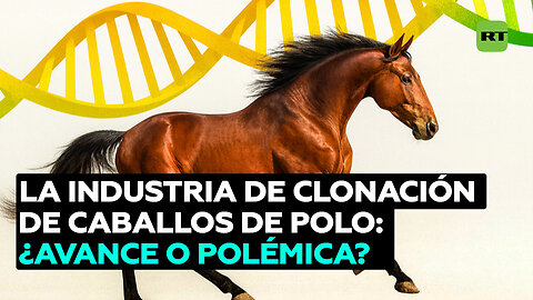 ¿Avance o controversia?: la creciente industria de clonación de caballos de polo
