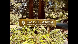 The Four Horsemen of the Apocalypse