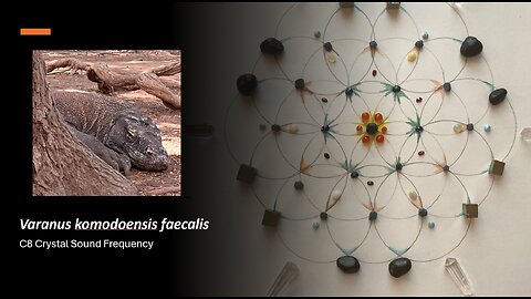 C8. Komodo Dragon Crystal Grid Sound Frequency (1 min)