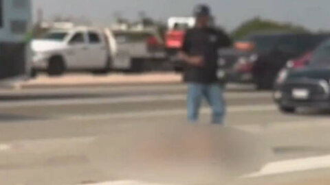 Illegal Alien Runs onto Freeway and Dies Fleeing ICE