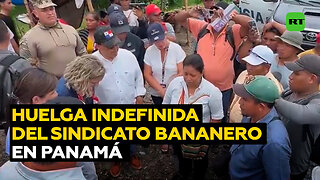 Sindicato bananero en Panamá acata huelga indefinida