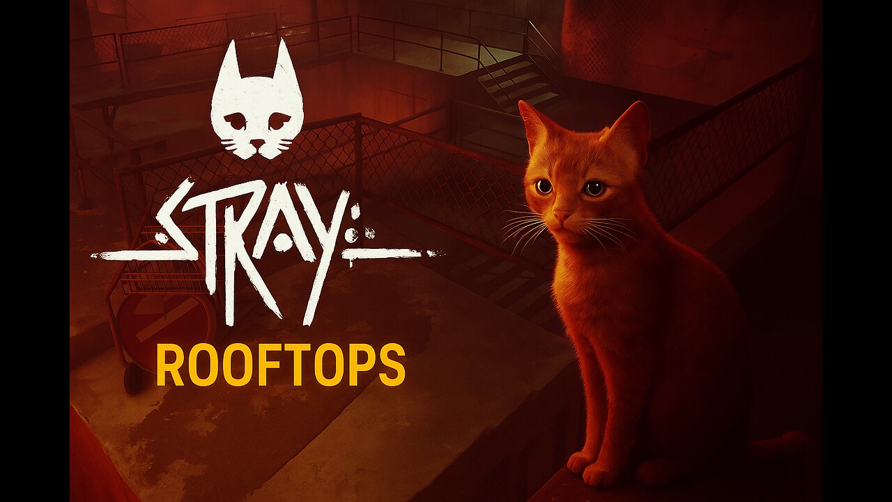 Stray - Rooftops