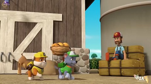PAW Patrol Cartoons