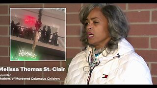 Malls To McDonald's. If You See The Blacks Chimping, Run For your Life. Crime