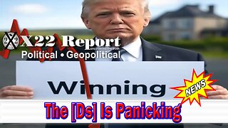 X22 Dave Report - The [Ds] Is Panicking, Trump And Team Are Slowly Dripping The Russia