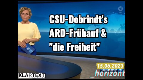 Von der Freiheit, wenns gerade passt, Tagesschau- und Regierungssprecherin gleichzeitig zu sein.