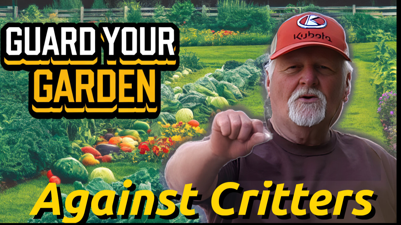 Brilliant Garden Hack Using CDs To Protect Your Crops!