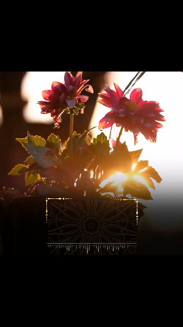 Beautiful recitation of Quran