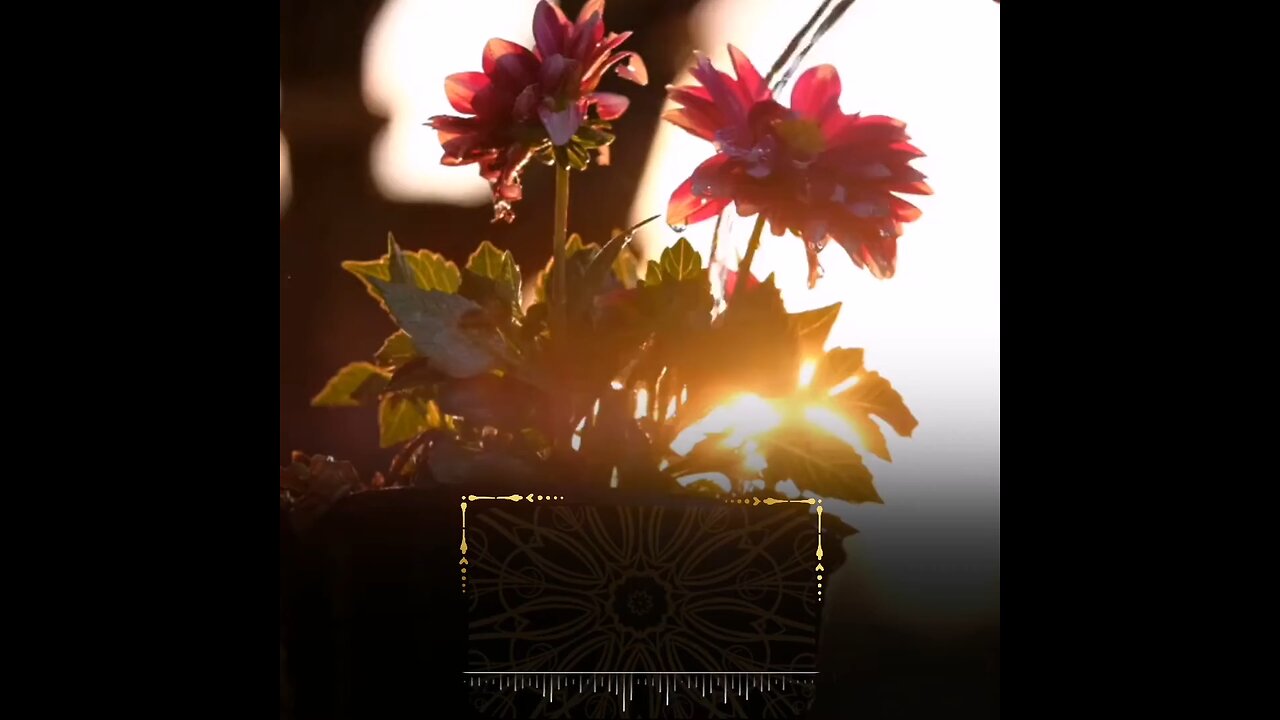 Beautiful recitation of Quran