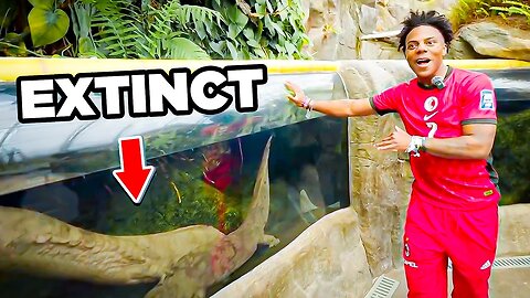 iShowSpeed visits Chinese Zoo!