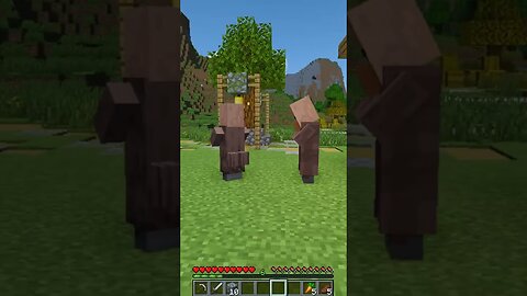 Villager Looks Sus...